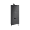 SoBuy FSR151-H-SCH Sklápěč bot se 3 klopami Úzký botník Botník Černá 50x129x19cm
